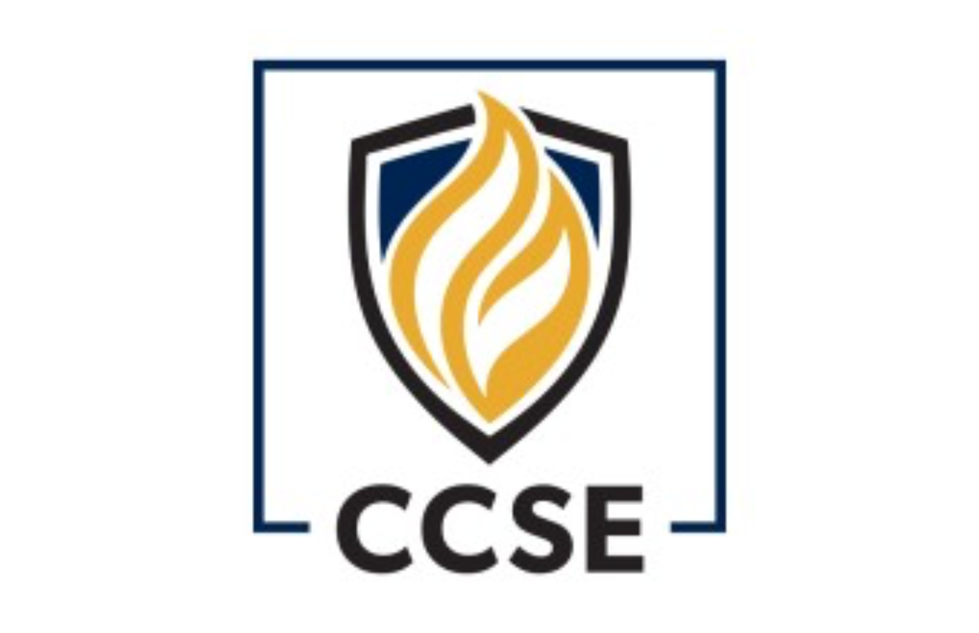 CCSE Law logo